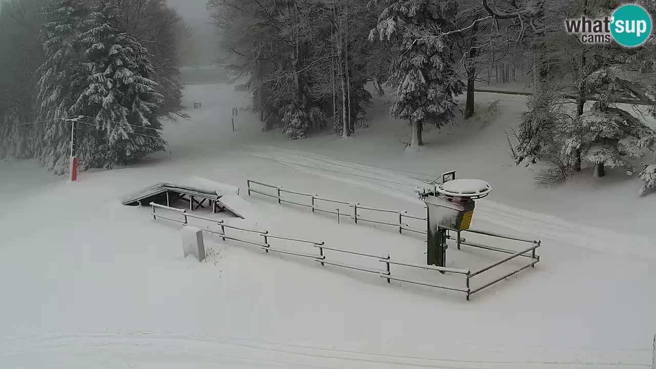 Mariborsko Pohorje – Areh Ruška proga 654