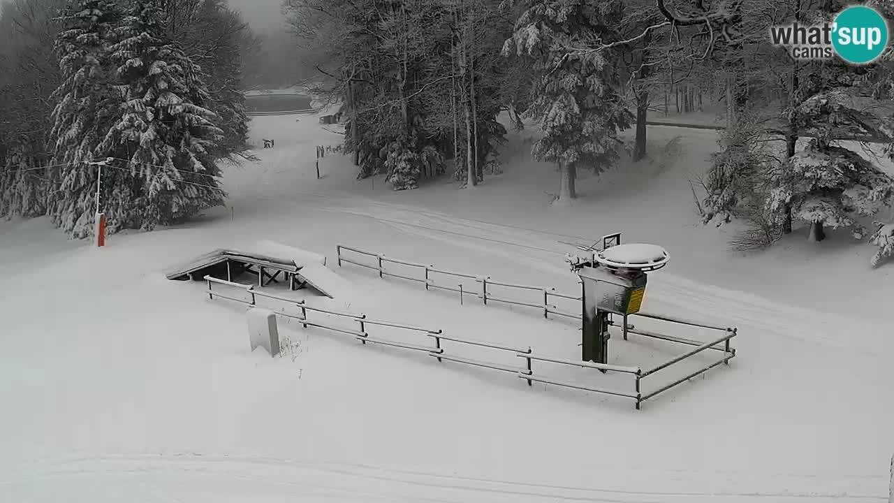 Estaciones de esquí Maribor Pohorje en vivo Ruška