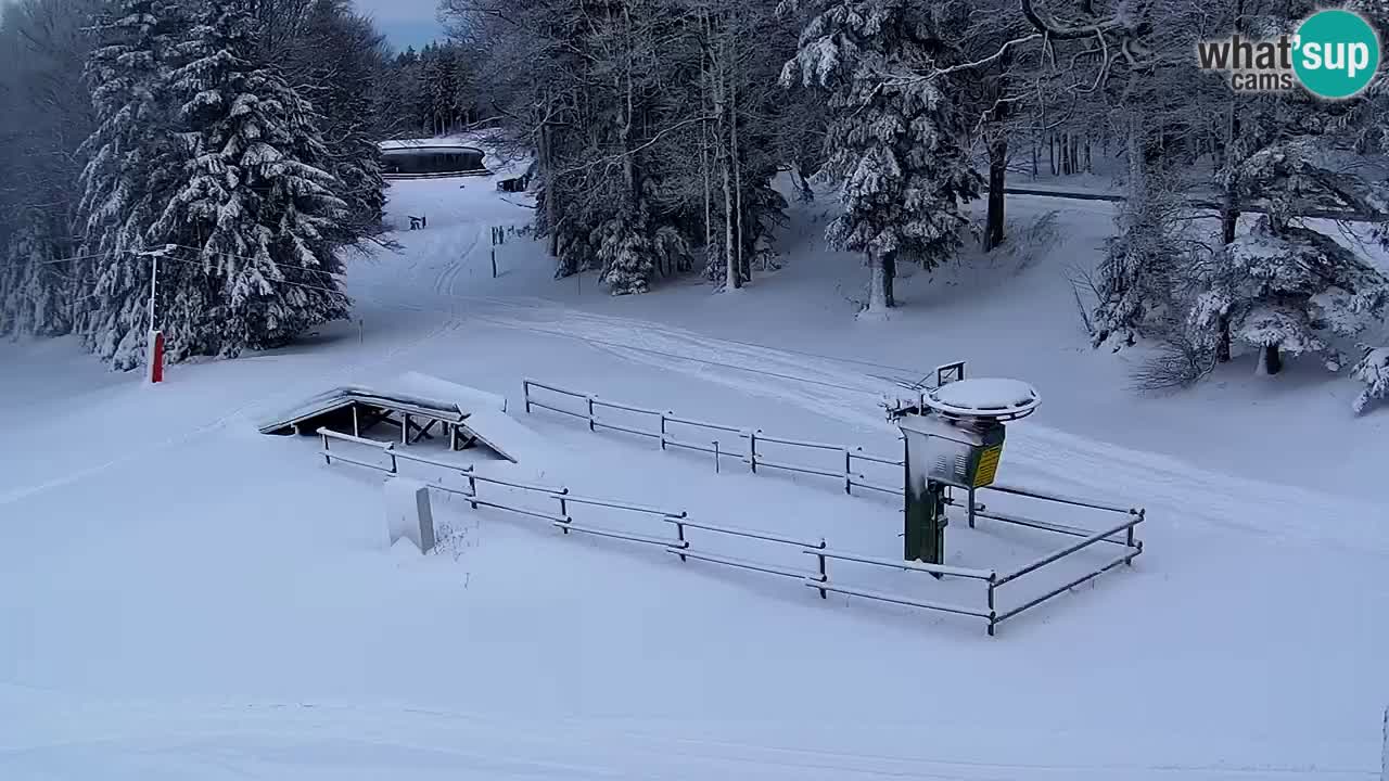 Maribor Pohorje – Areh Ruska