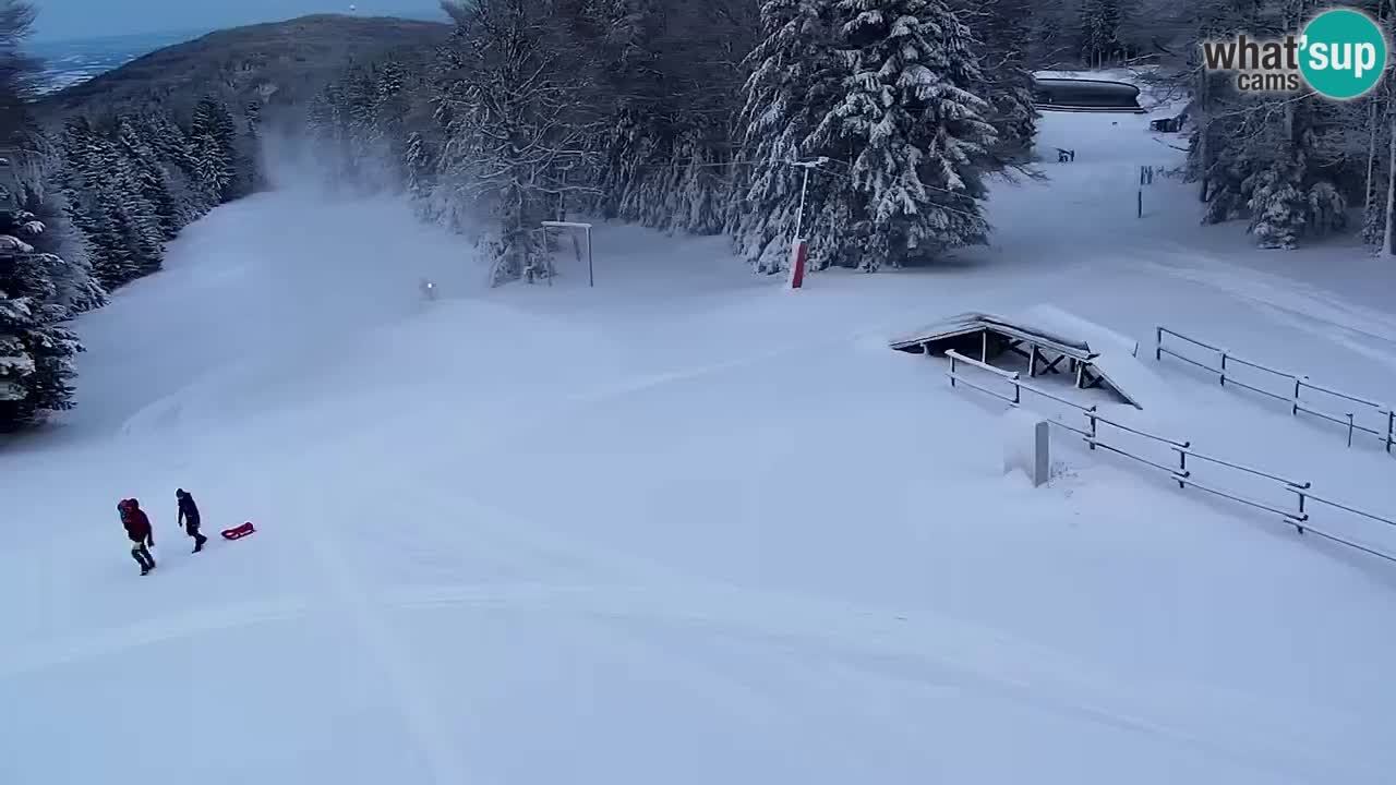 Smučišče Mariborsko Pohorje – spletna kamera Ruška zgoraj