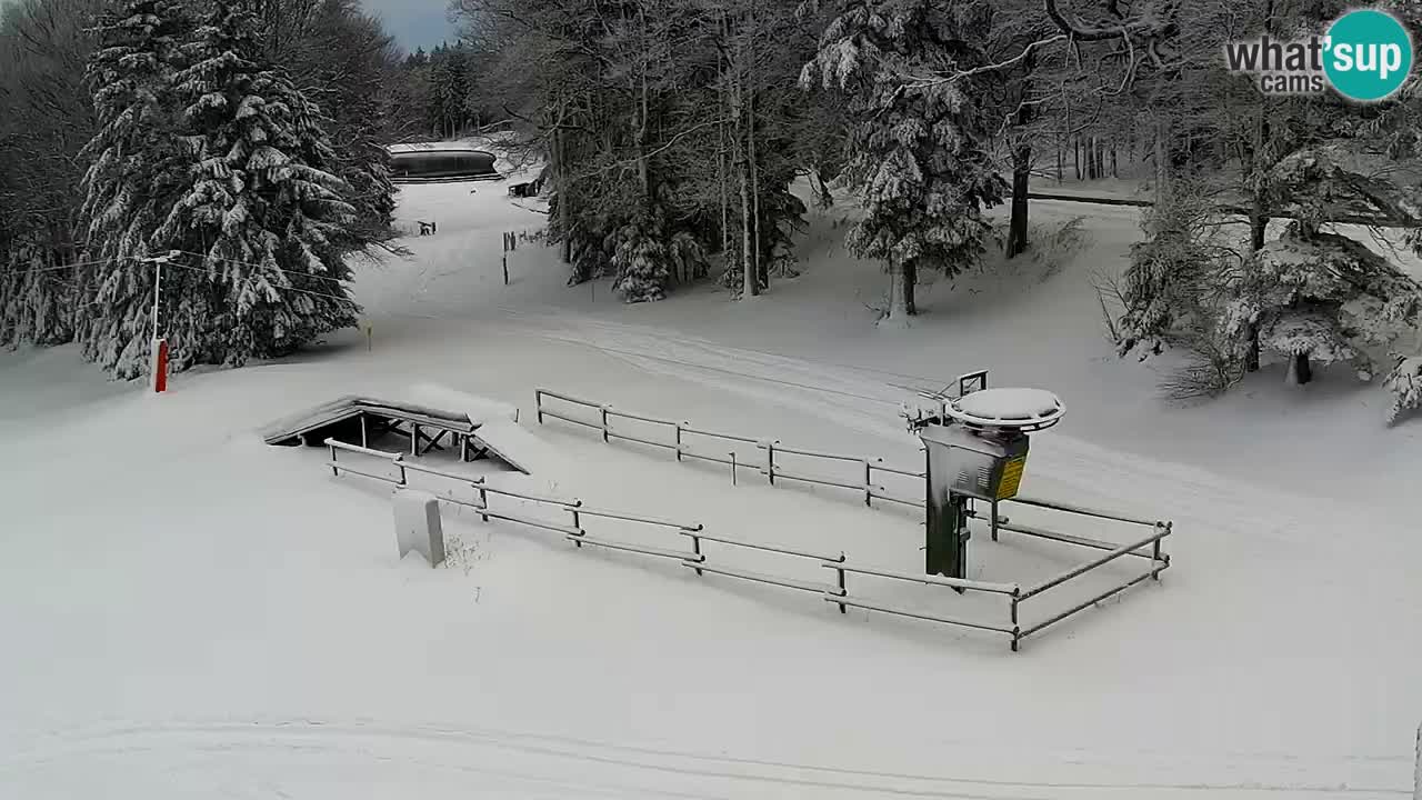 Maribor Pohorje – Areh Ruska