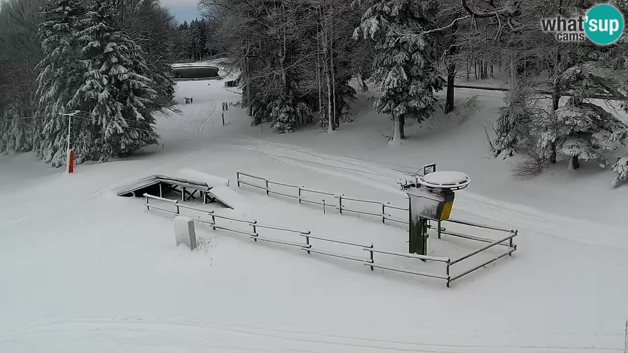 Smučišče Mariborsko Pohorje – spletna kamera Ruška zgoraj