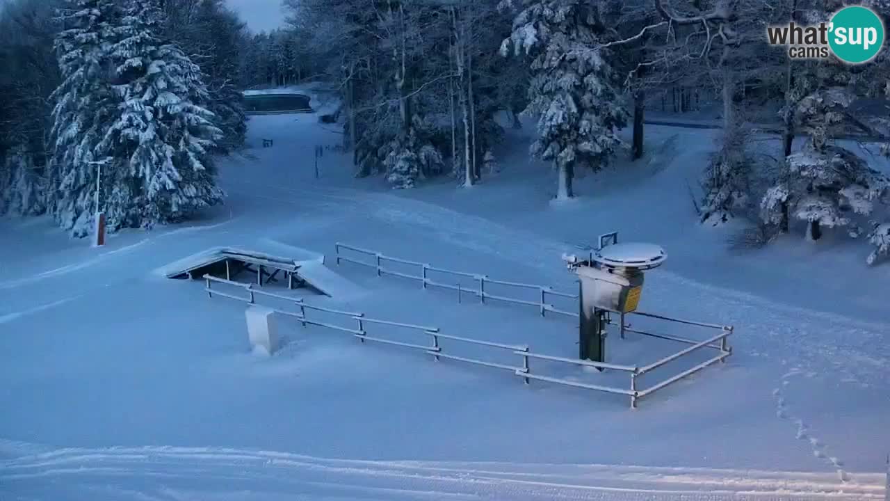 Smučišče Mariborsko Pohorje – spletna kamera Ruška zgoraj