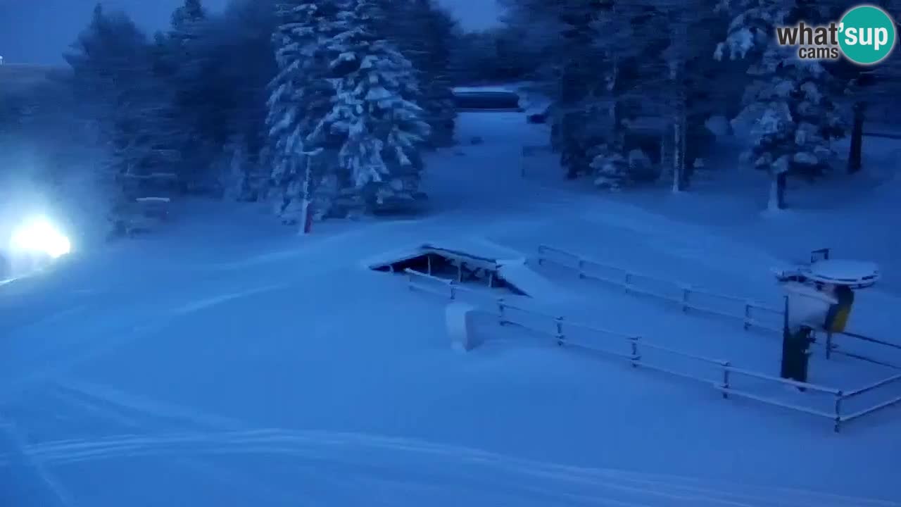 Smučišče Mariborsko Pohorje – spletna kamera Ruška zgoraj