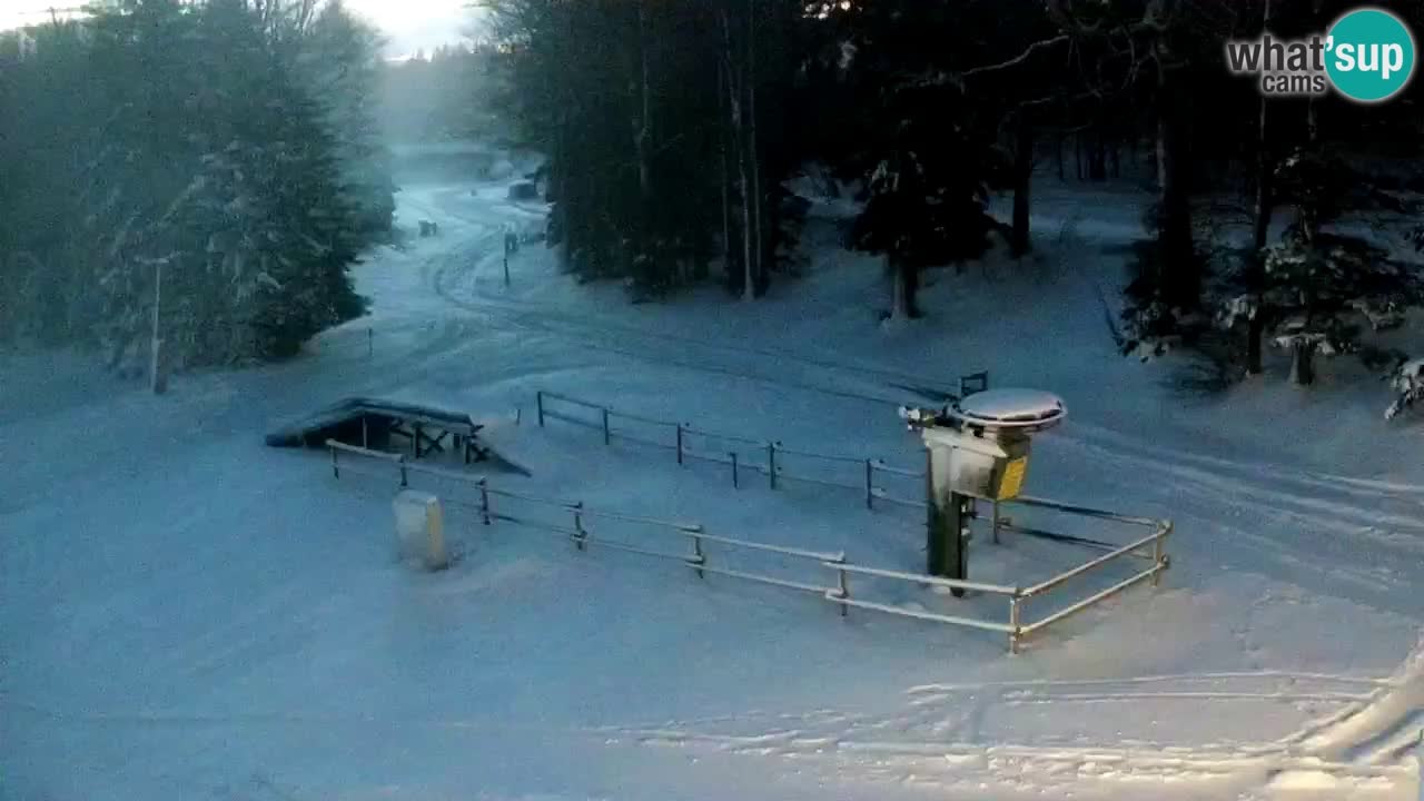 Stazione sciistica Pohorje – Arerh – pista Ruška