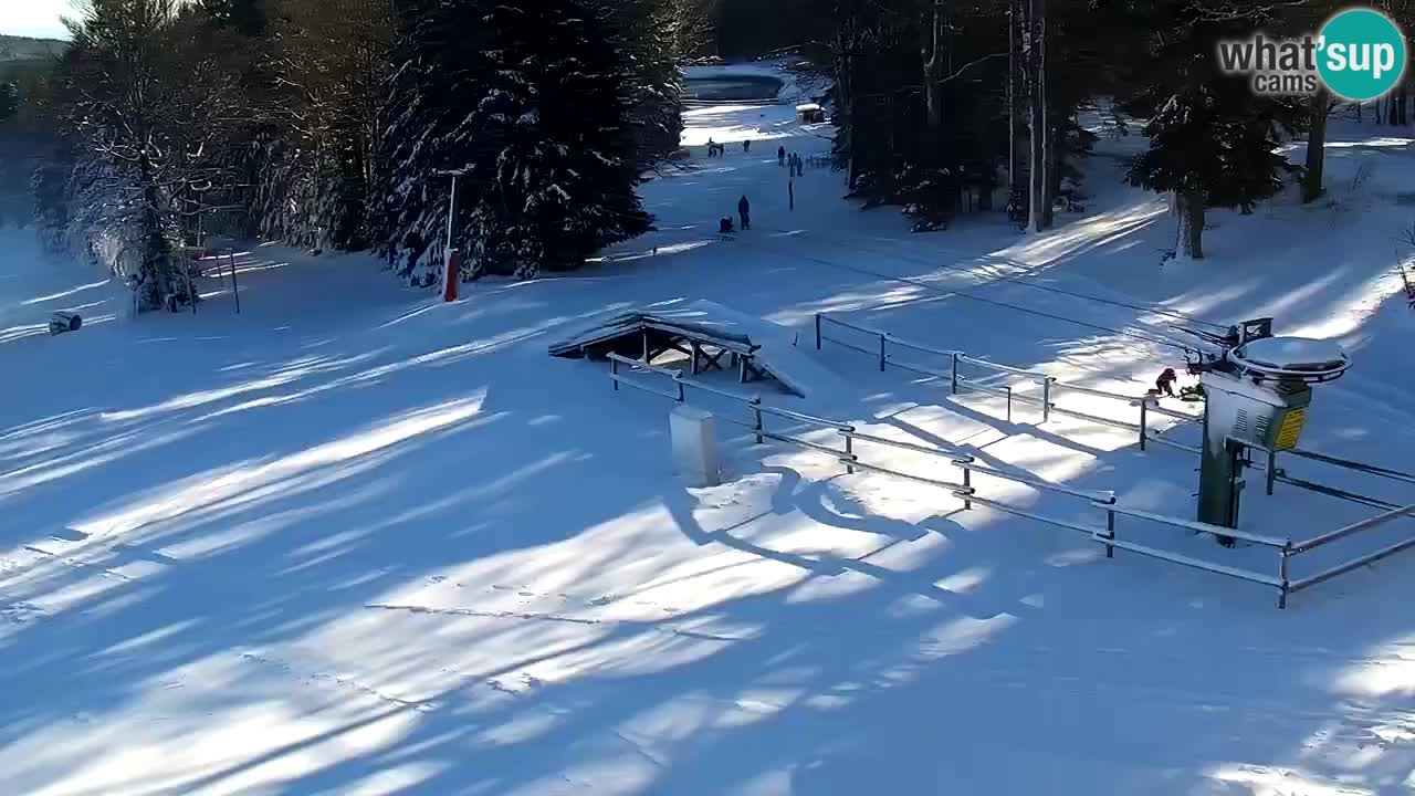 Smučišče Mariborsko Pohorje – spletna kamera Ruška zgoraj