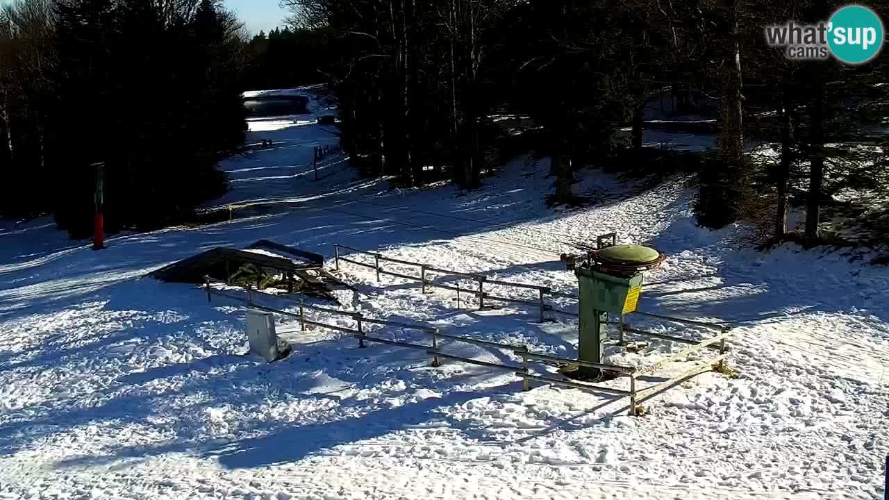 Stazione sciistica Maribor Pohorje – Ruška livecam