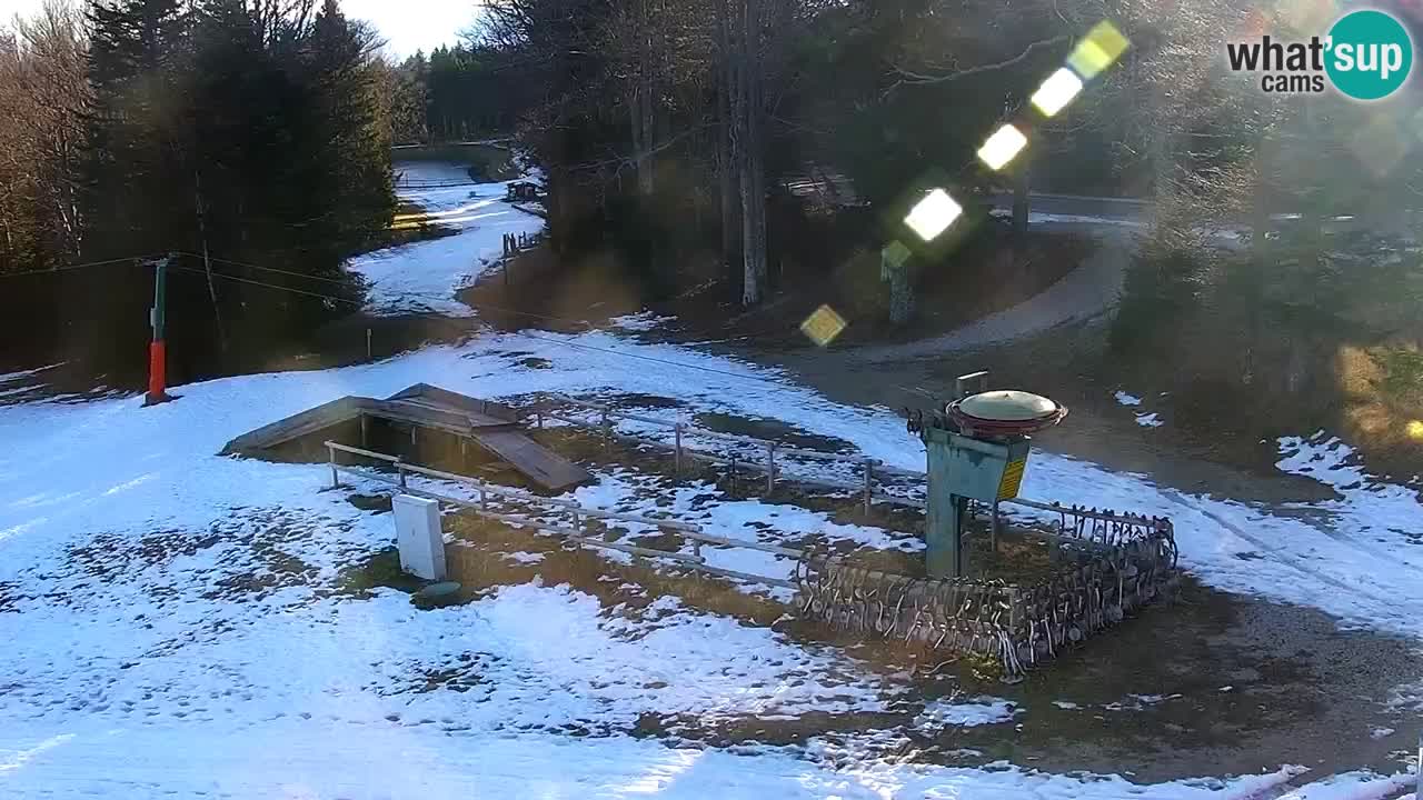 Stazione sciistica Pohorje – Arerh – pista Ruška