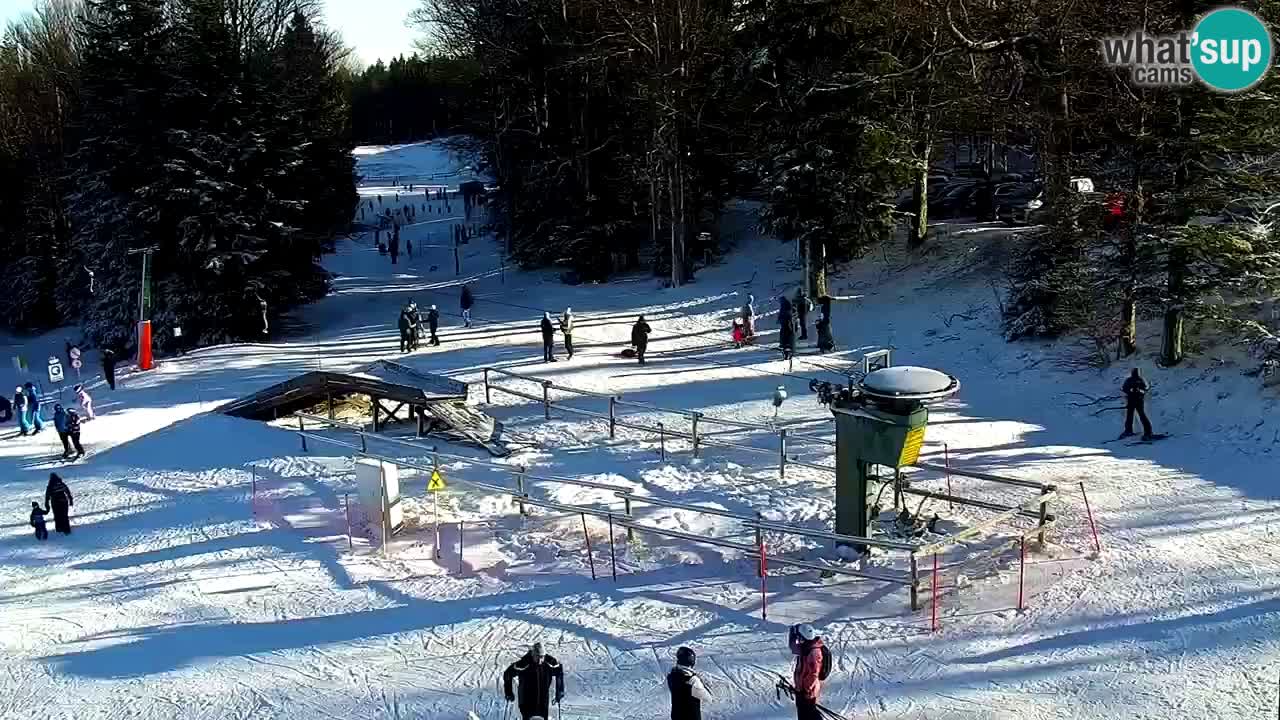 SKI Maribor Pohorje webcam Ruška