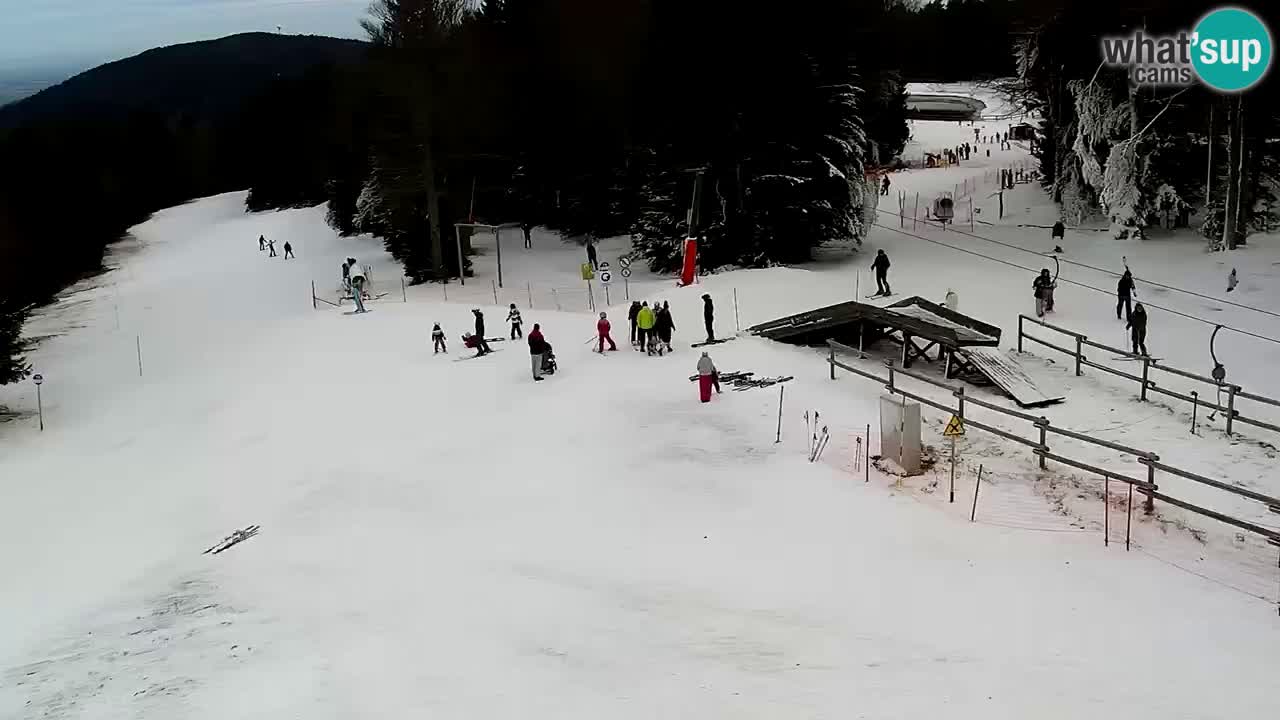 SKI Maribor Pohorje webcam Ruška