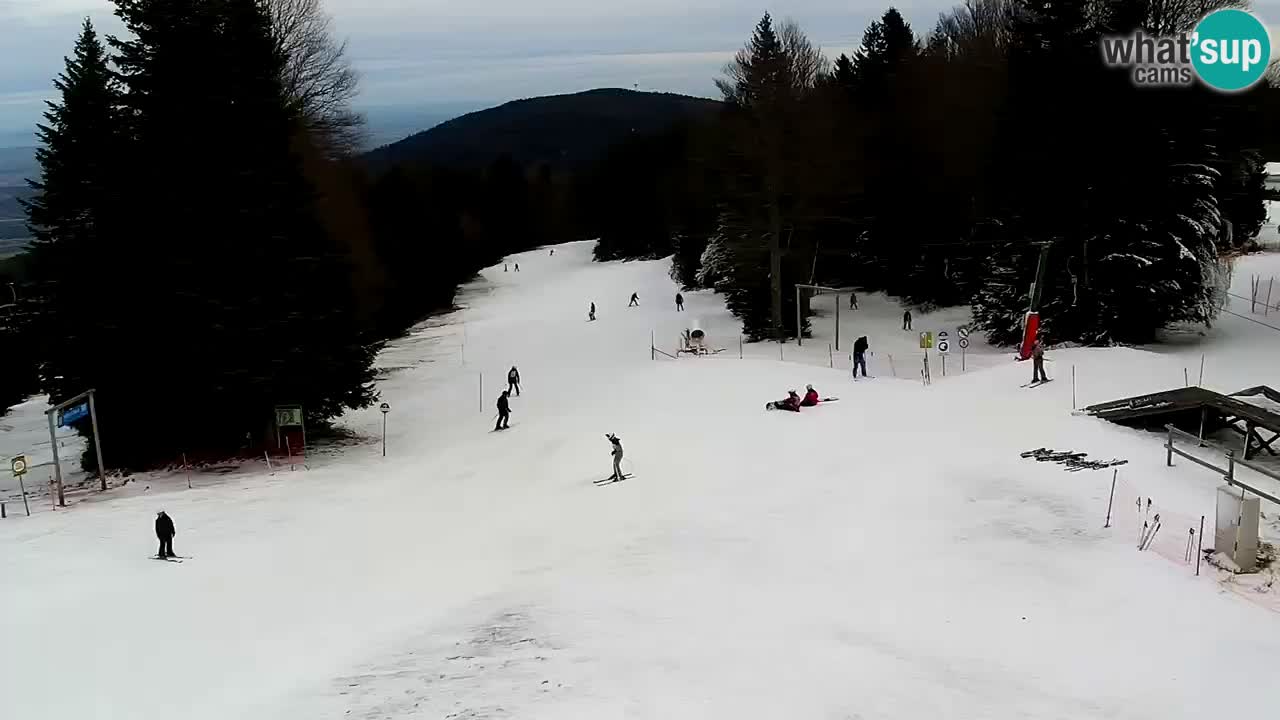 Stazione sciistica Pohorje – Arerh – pista Ruška