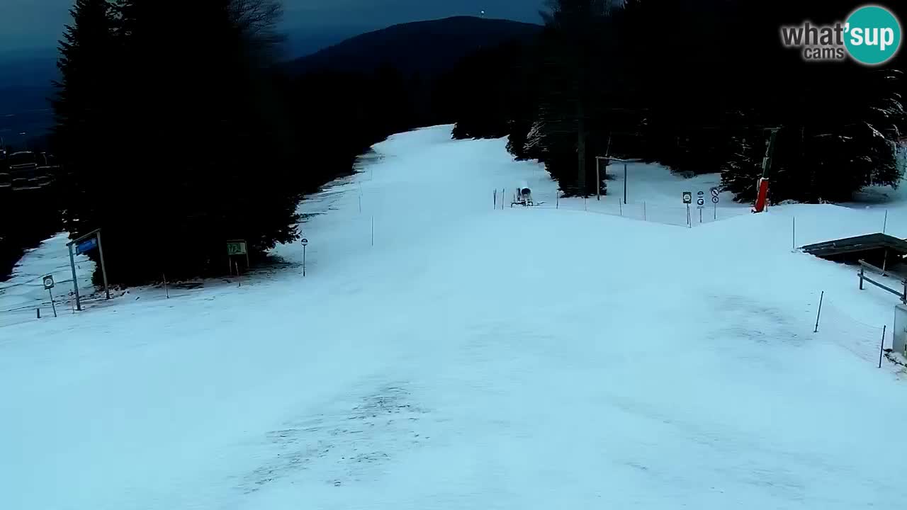 Estaciones de esquí Maribor Pohorje en vivo Ruška