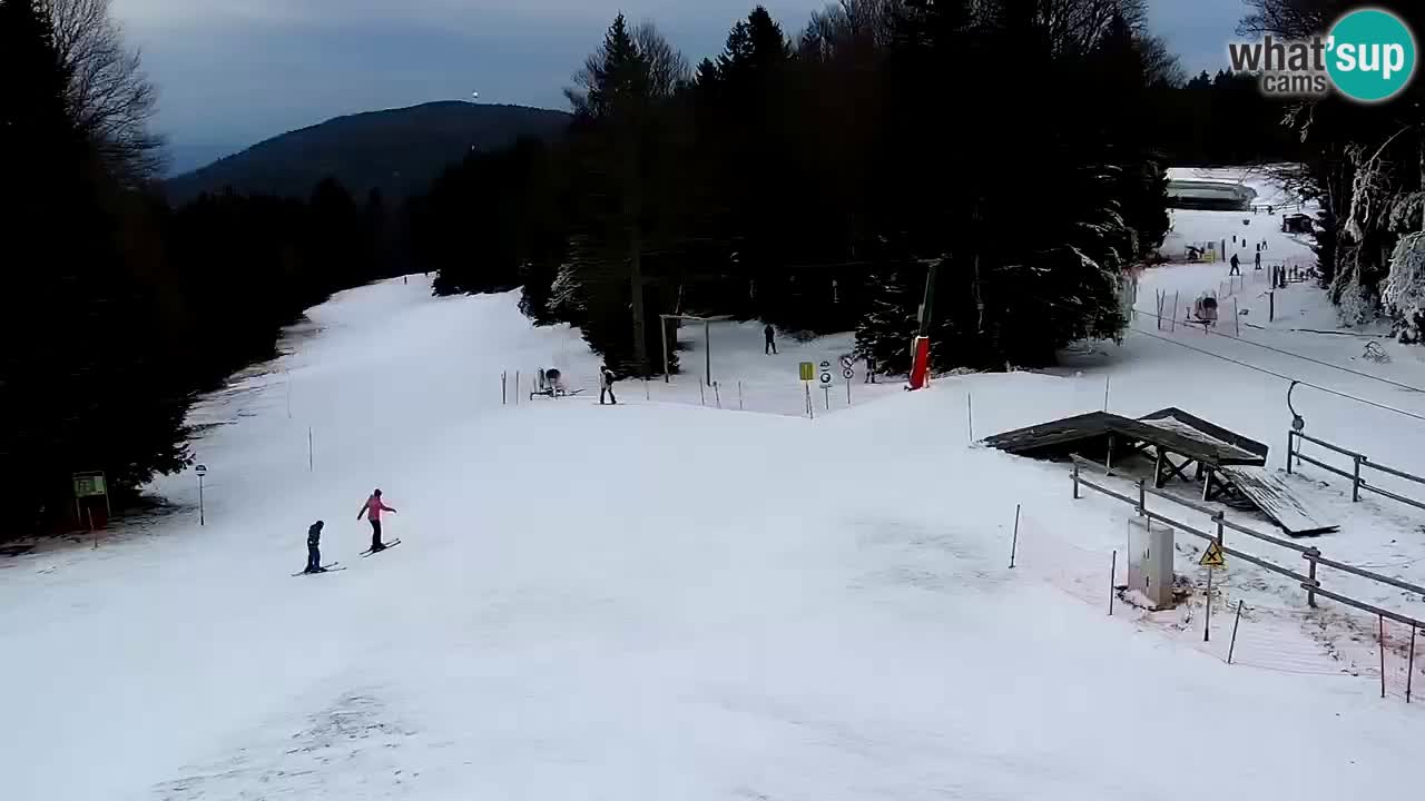 SKI Maribor Pohorje webcam Ruška