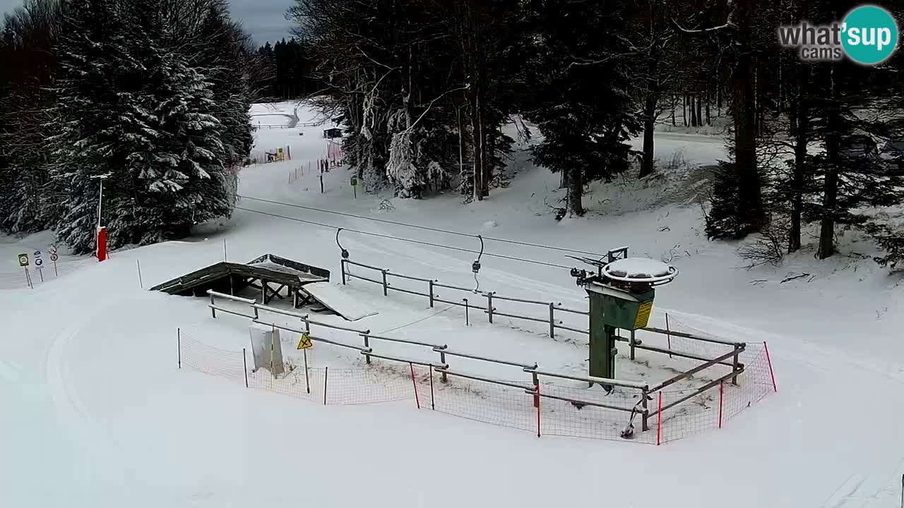 Station ski Pohorje – Areh – Ruška