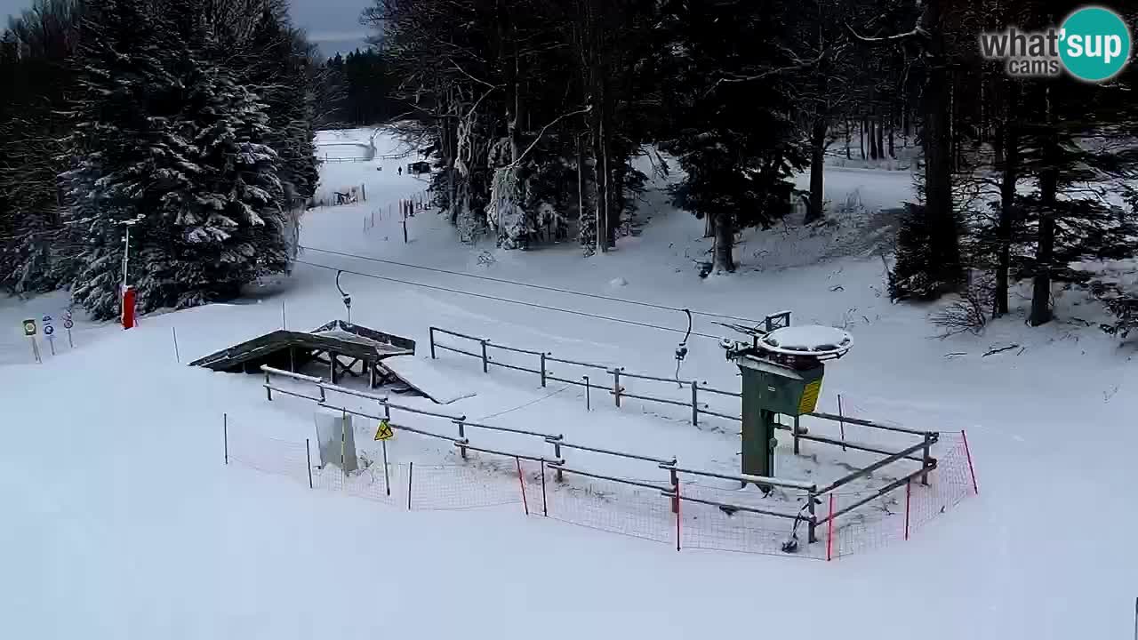 Stations de ski Maribor Pohorje web cam Ruška