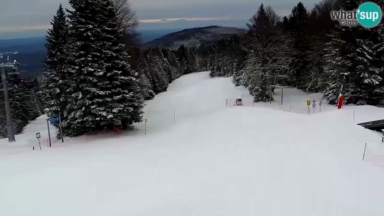 Mariborsko Pohorje – Areh Ruška proga 654