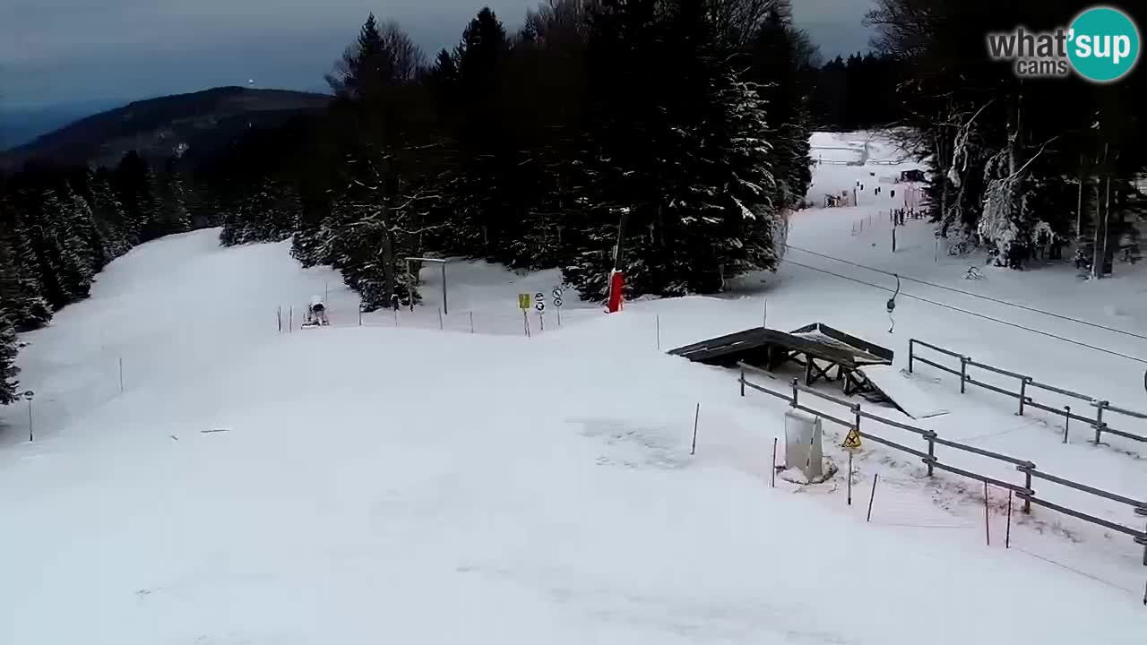 Smučišče Mariborsko Pohorje – spletna kamera Ruška zgoraj