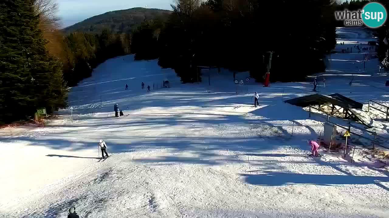 Stazione sciistica Pohorje – Arerh – pista Ruška