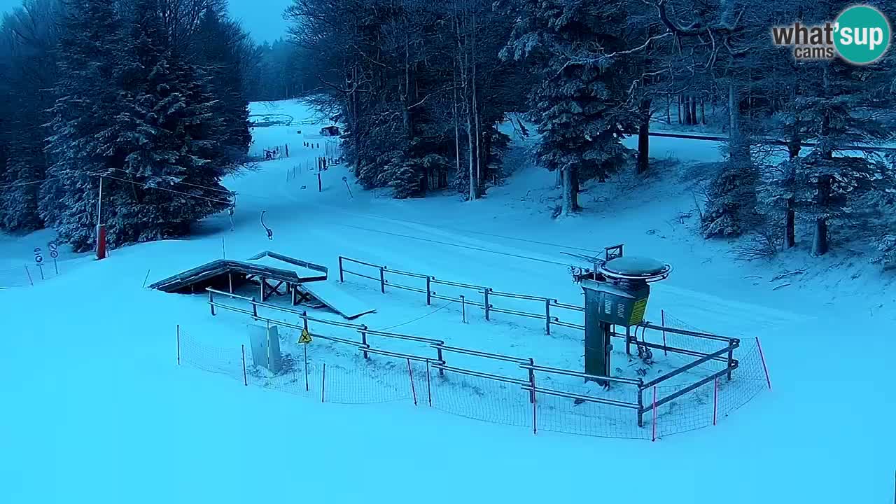 Smučišče Mariborsko Pohorje – spletna kamera Ruška zgoraj