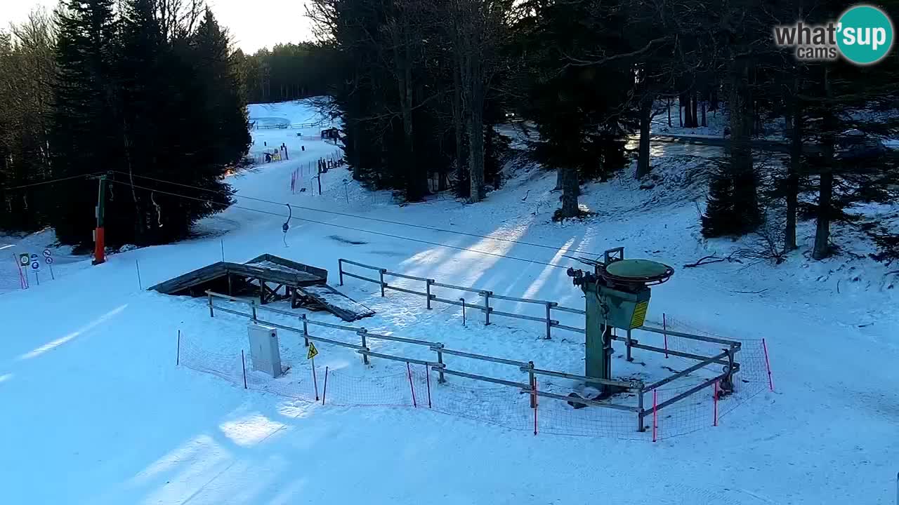 Mariborsko Pohorje – Areh Ruška proga 654