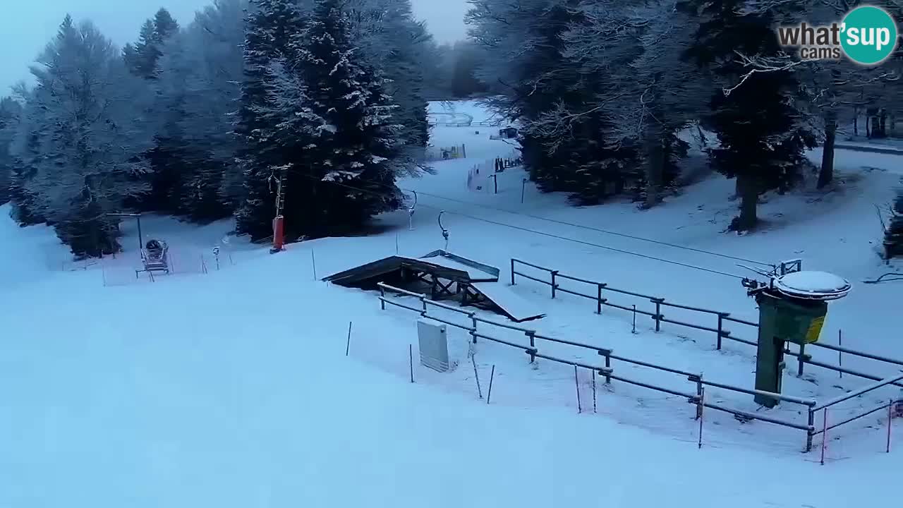 Stazione sciistica Pohorje – Arerh – pista Ruška