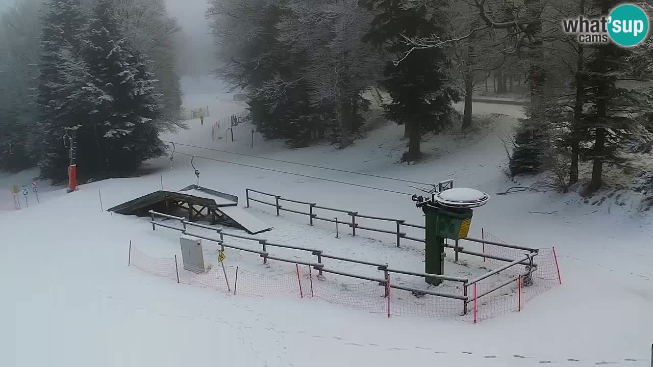 Station ski Pohorje – Areh – Ruška