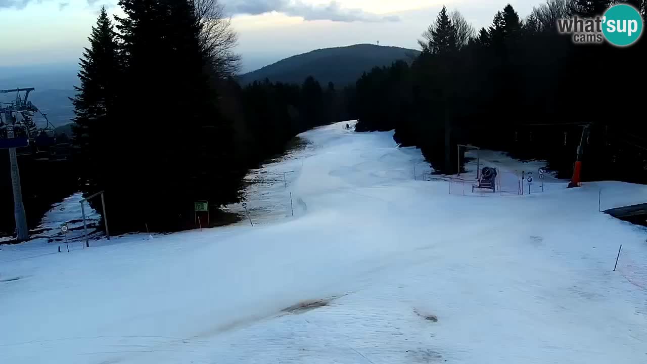 Mariborsko Pohorje – Areh Ruška proga 654