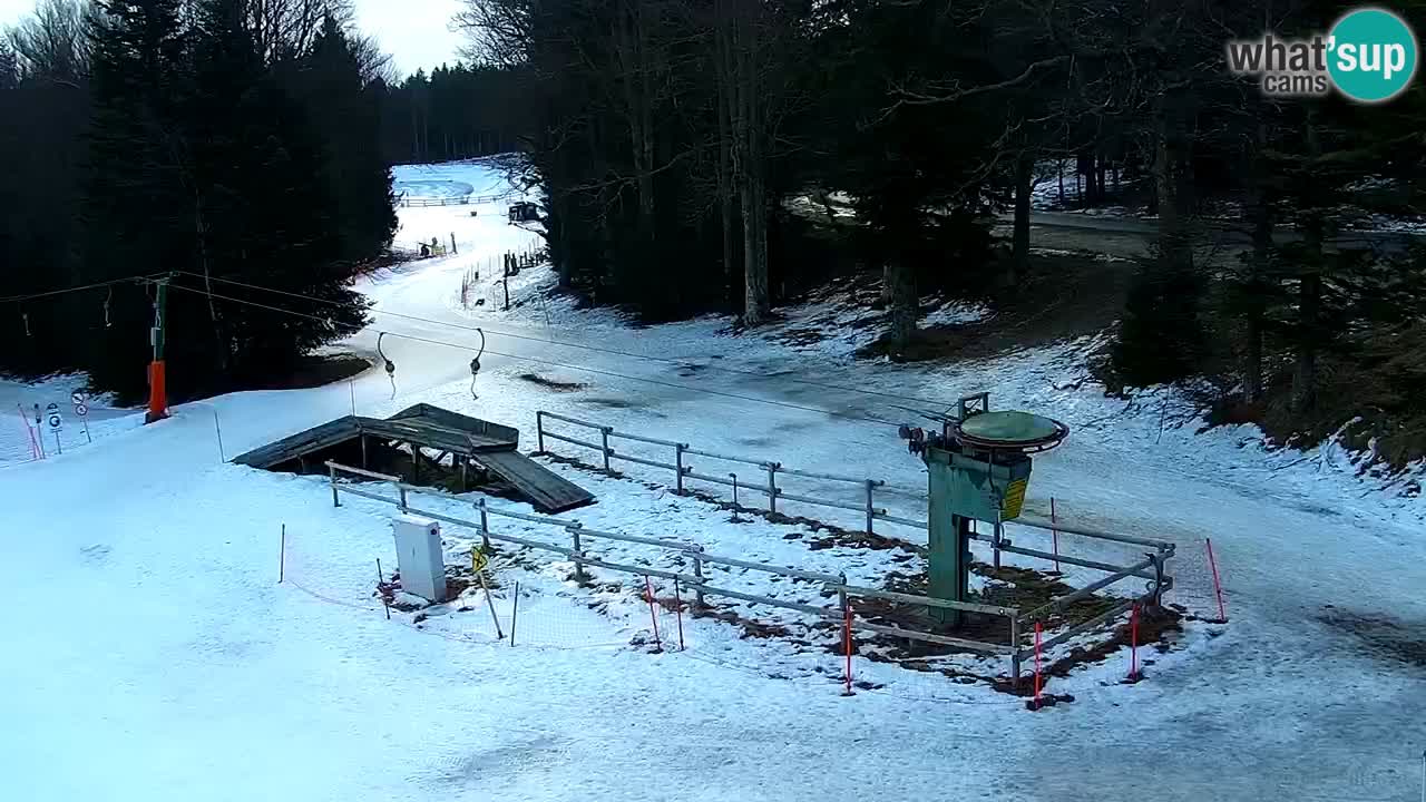 Smučišče Mariborsko Pohorje – spletna kamera Ruška zgoraj