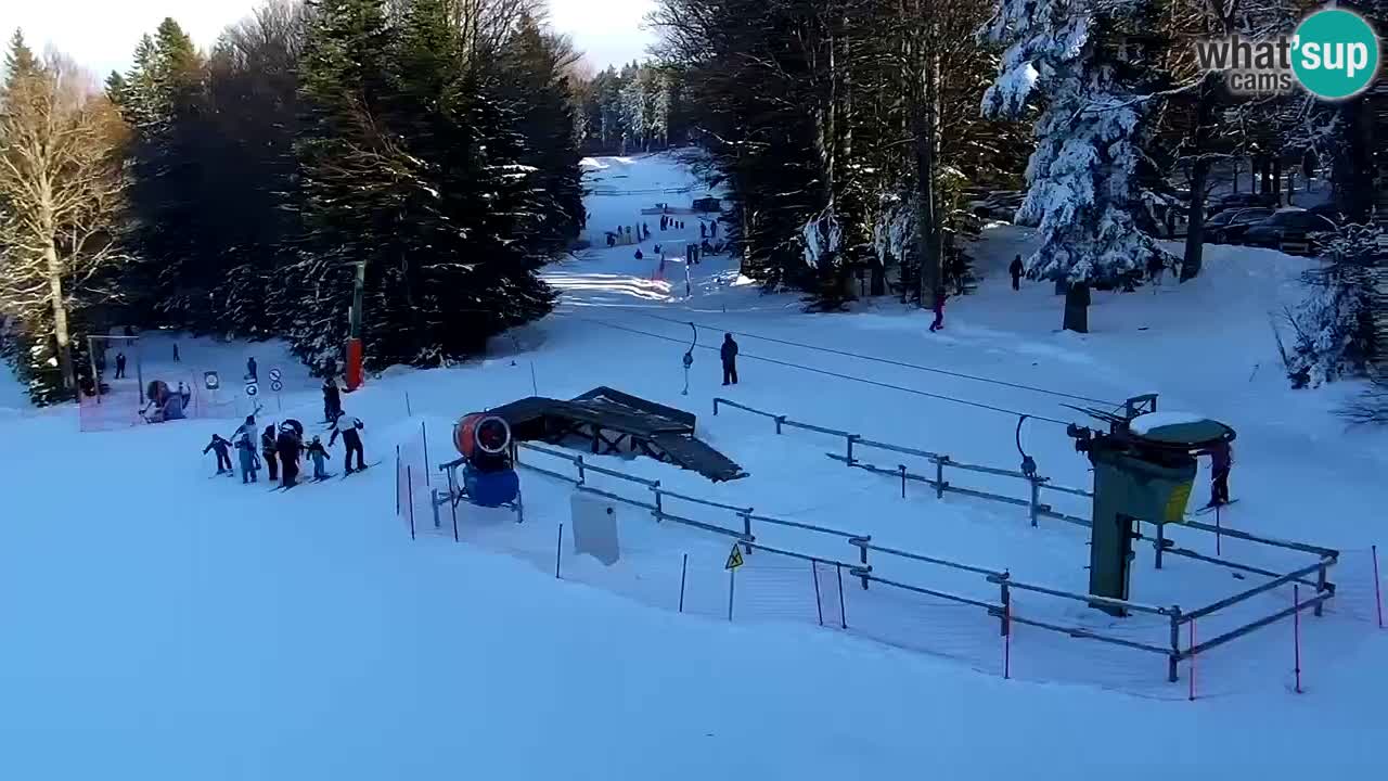 Stazione sciistica Pohorje – Arerh – pista Ruška