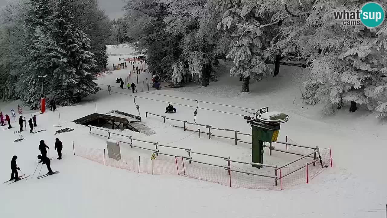 Smučišče Mariborsko Pohorje – spletna kamera Ruška zgoraj