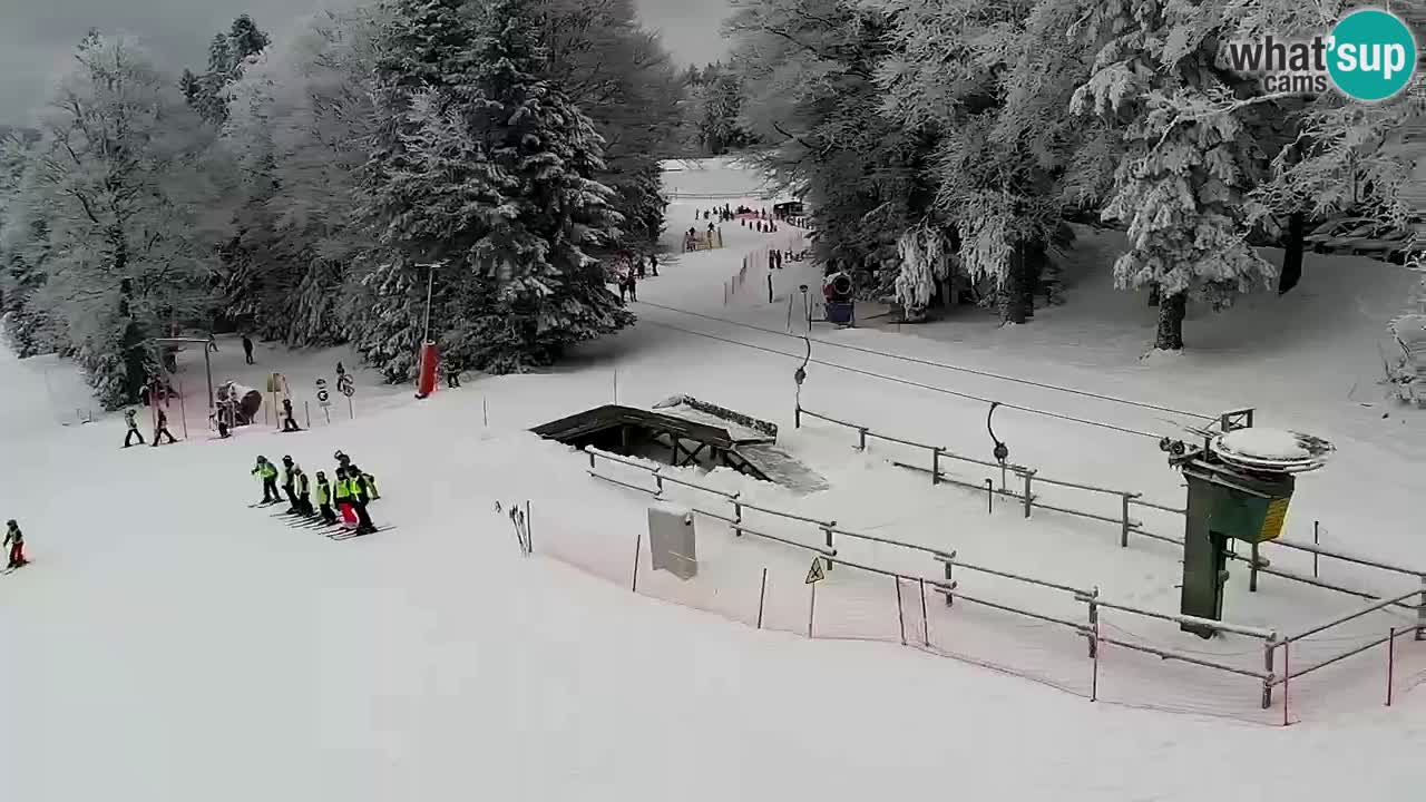 Stations de ski Maribor Pohorje web cam Ruška