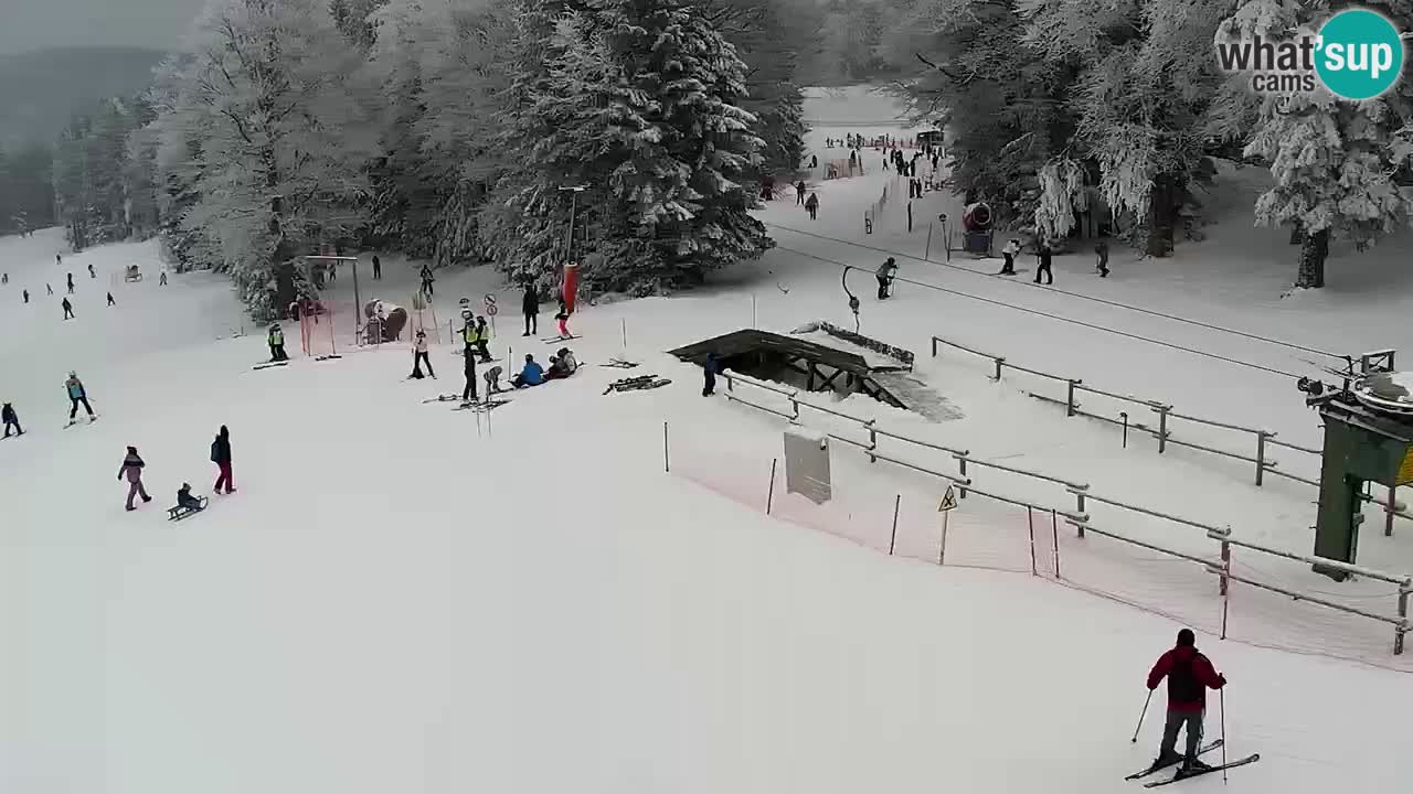 Stations de ski Maribor Pohorje web cam Ruška