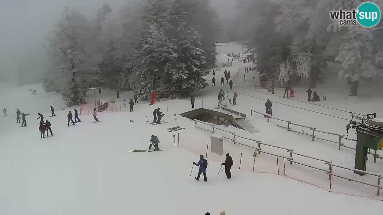 SKI Maribor Pohorje webcam Ruška