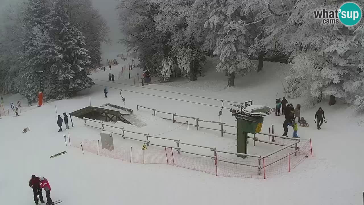 Smučišče Mariborsko Pohorje – spletna kamera Ruška zgoraj