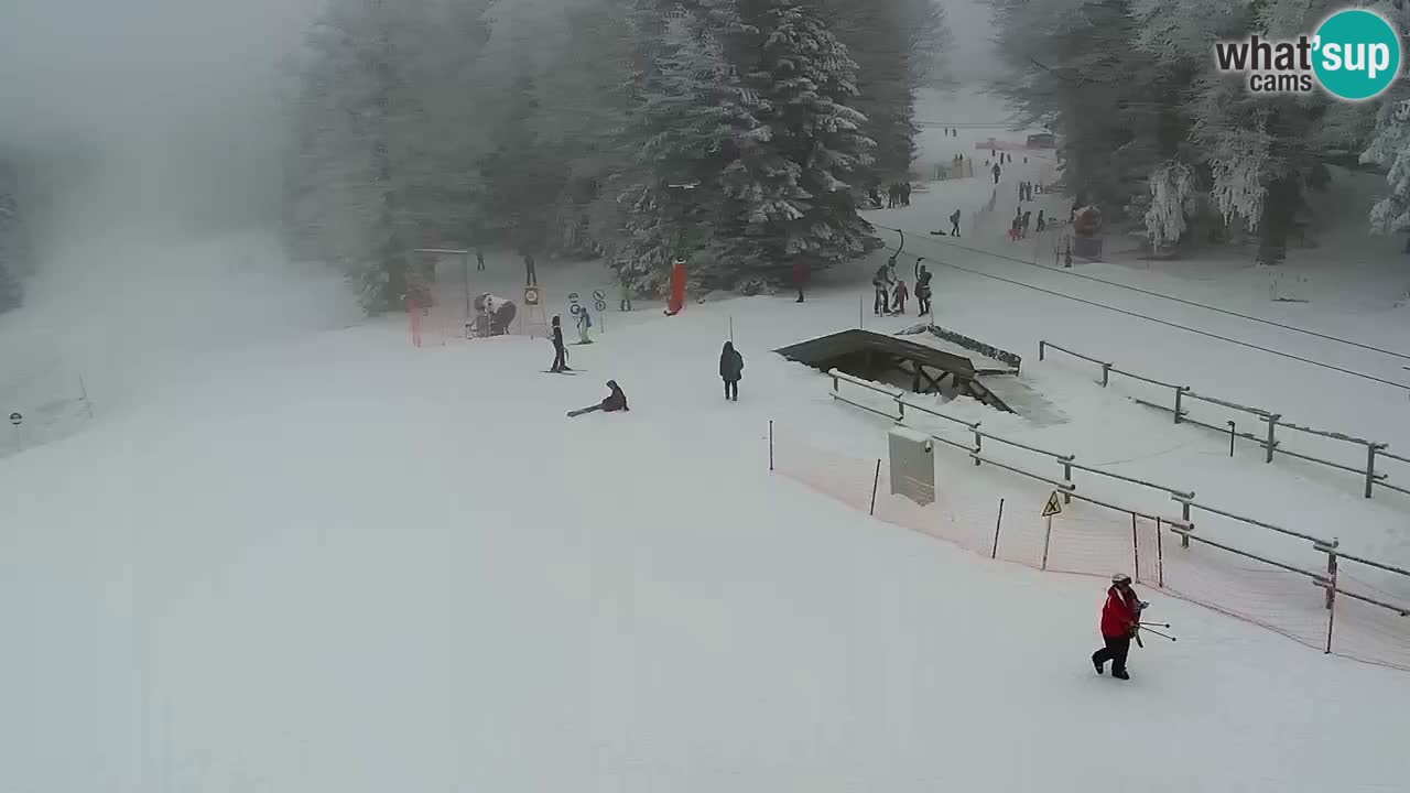 Stations de ski Maribor Pohorje web cam Ruška