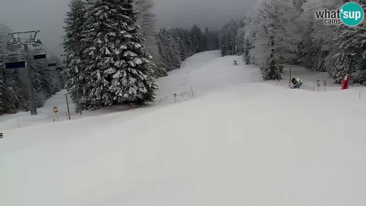 Stazione sciistica Pohorje – Arerh – pista Ruška