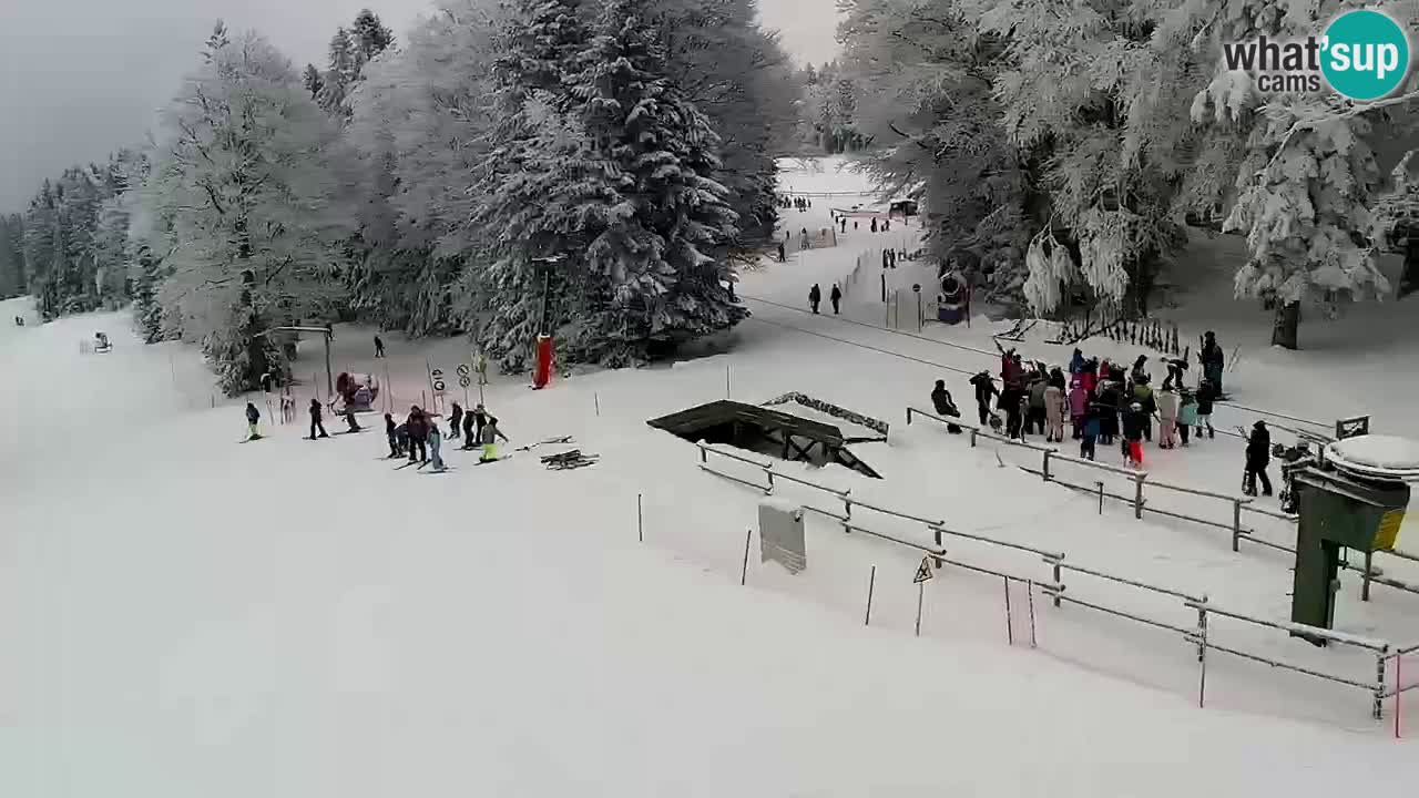 Smučišče Mariborsko Pohorje – spletna kamera Ruška zgoraj