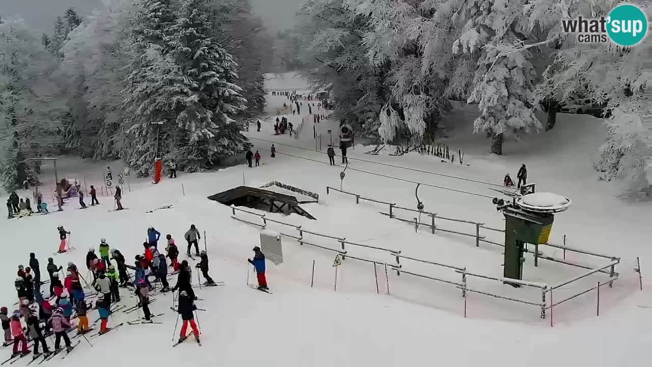 Stations de ski Maribor Pohorje web cam Ruška