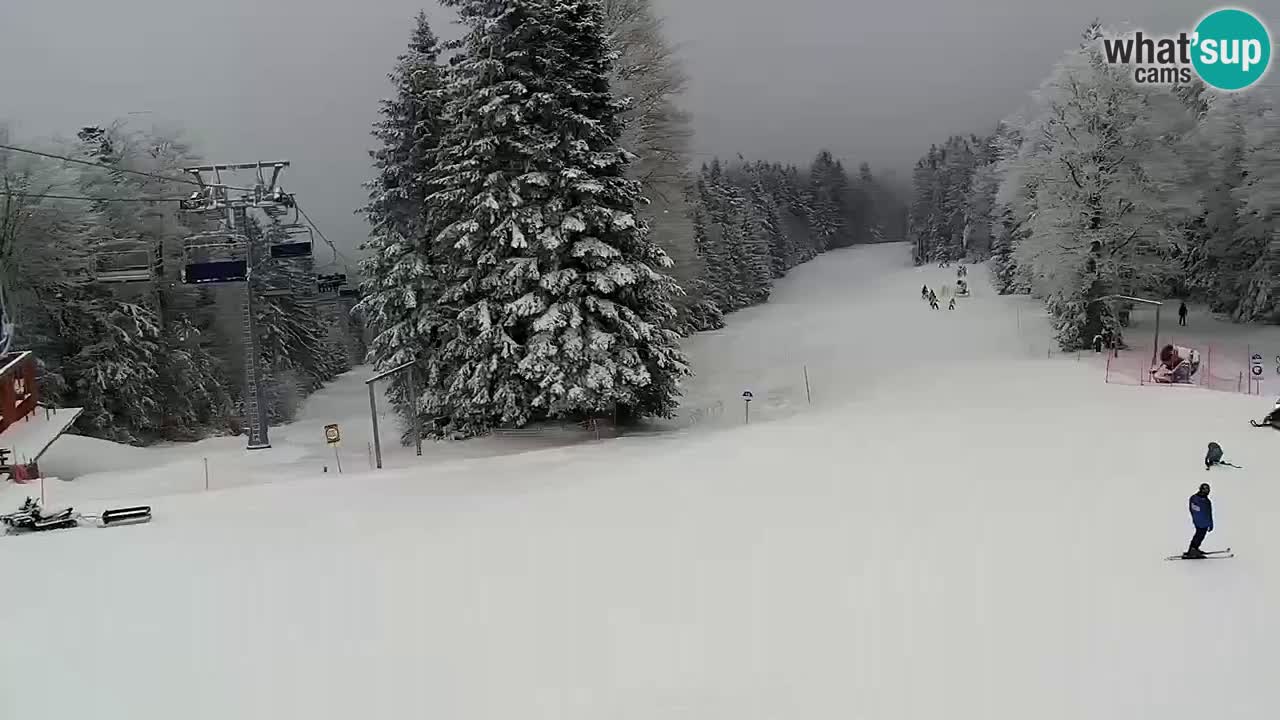 Maribor Pohorje – Areh Ruska