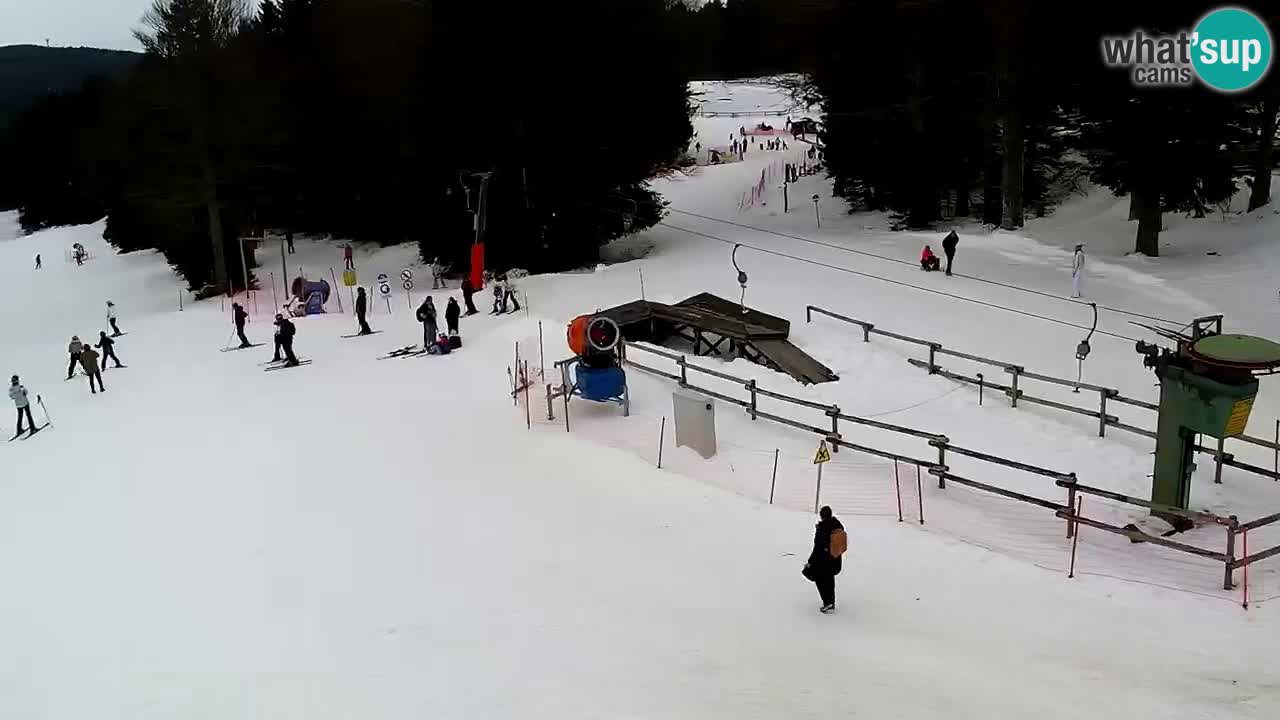 Stazione sciistica Pohorje – Arerh – pista Ruška