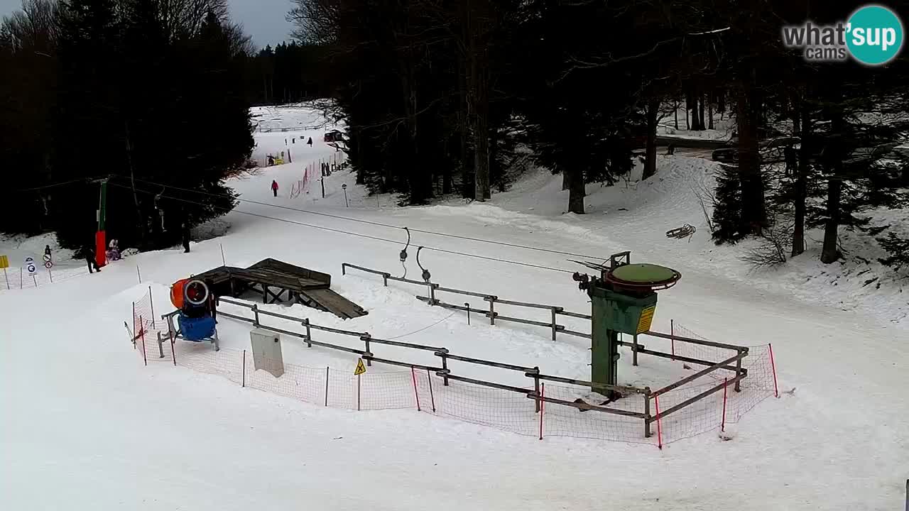 Stazione sciistica Pohorje – Arerh – pista Ruška