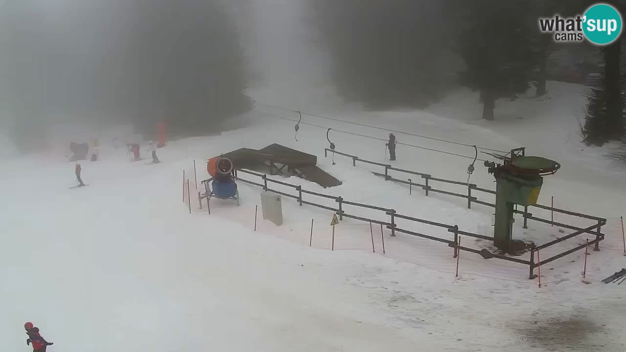 Stations de ski Maribor Pohorje web cam Ruška