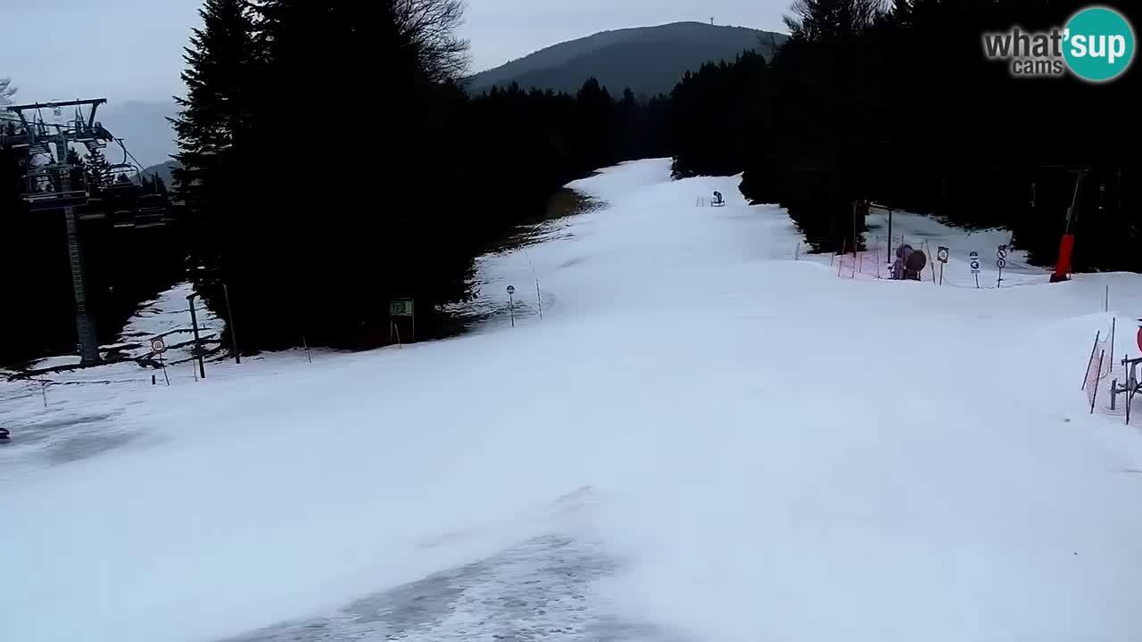 Mariborsko Pohorje – Areh Ruška proga 654