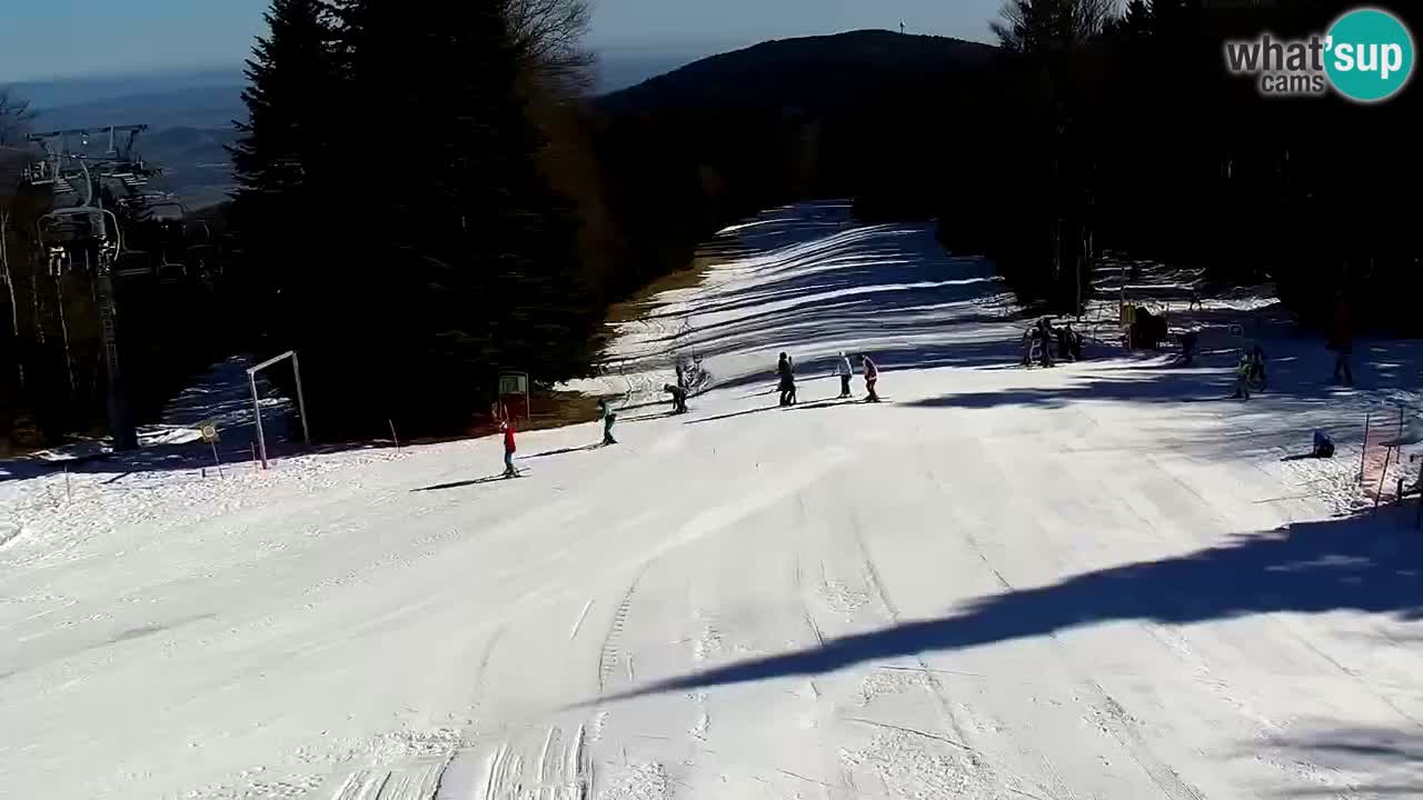 Smučišče Mariborsko Pohorje – spletna kamera Ruška zgoraj