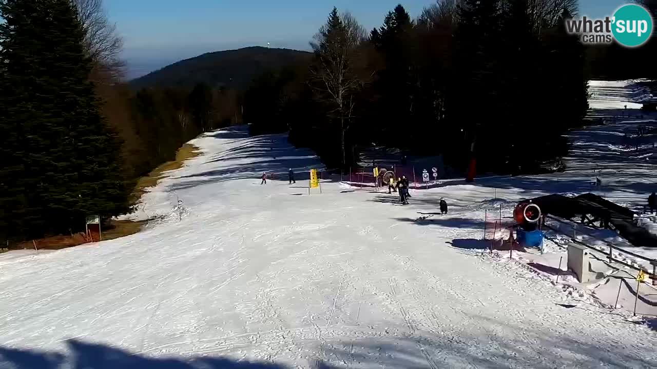 SKI Maribor Pohorje webcam Ruška