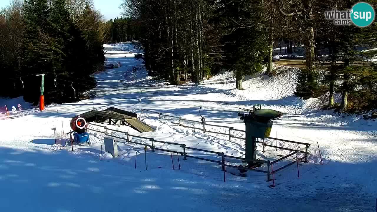 Stations de ski Maribor Pohorje web cam Ruška