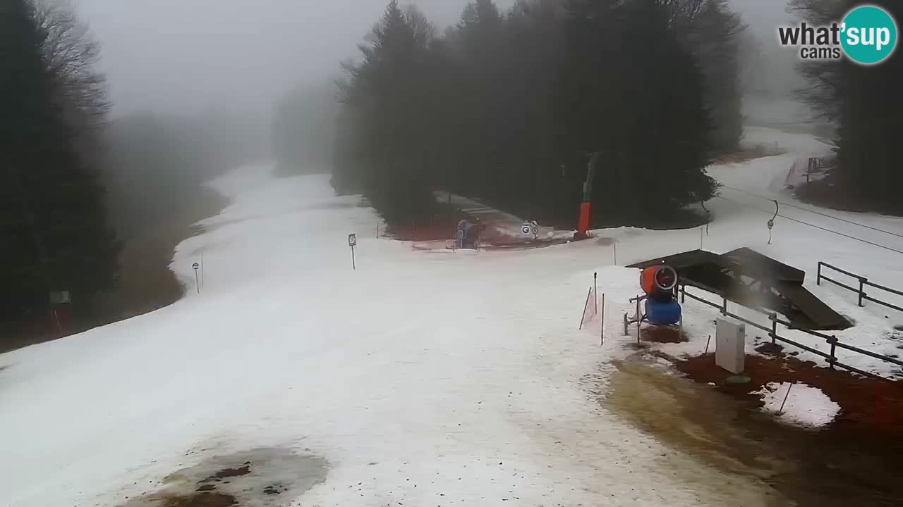 Stazione sciistica Pohorje – Arerh – pista Ruška