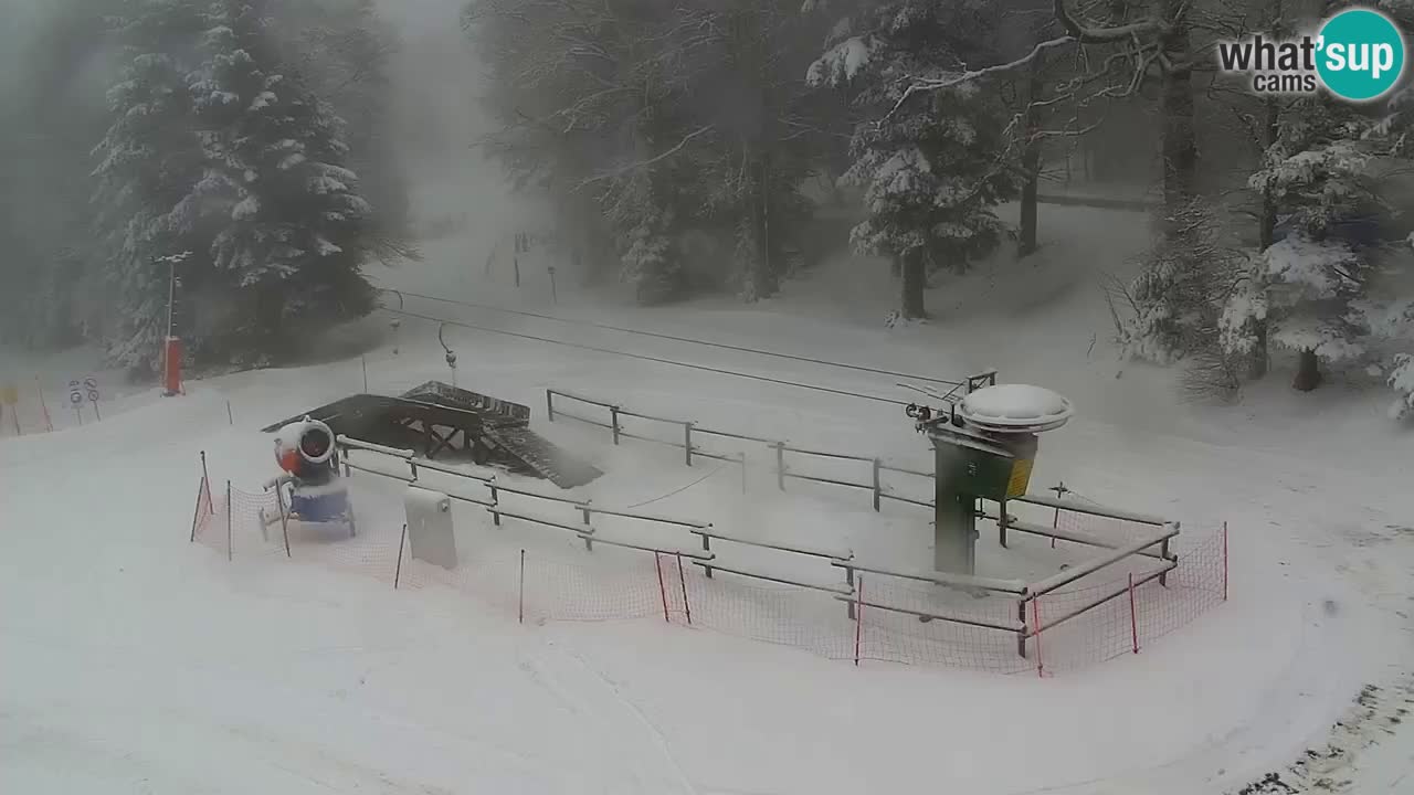 Station ski Pohorje – Areh – Ruška