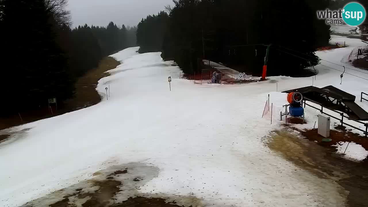 Smučišče Mariborsko Pohorje – spletna kamera Ruška zgoraj