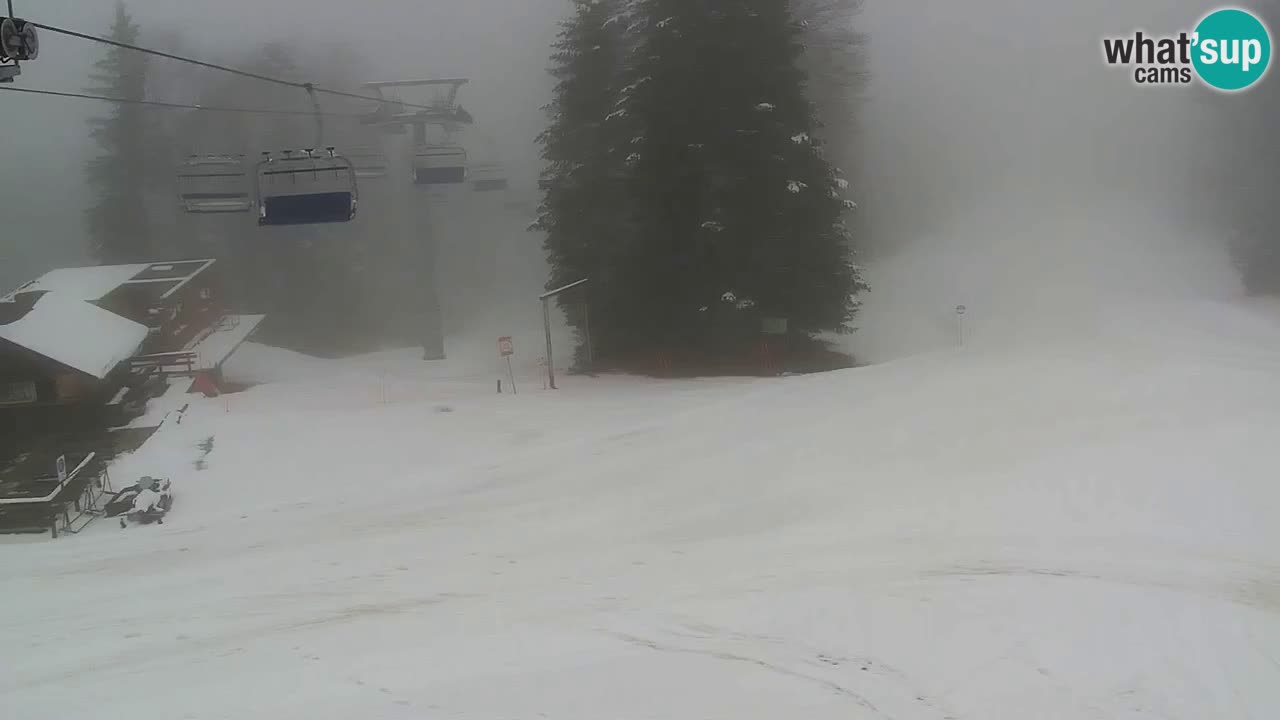 Ski resort Pohorje – Areh – Ruška